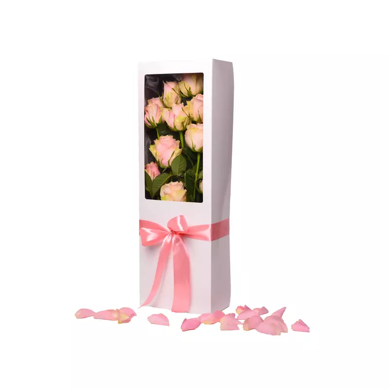 Light Pink Rose in the white box