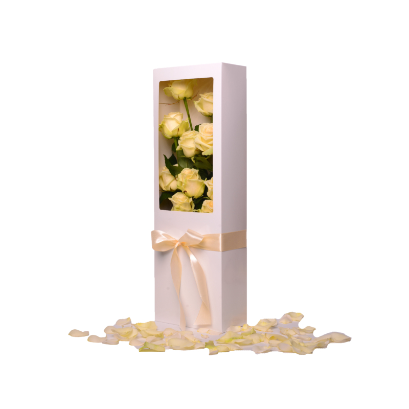White Rose in the white box
